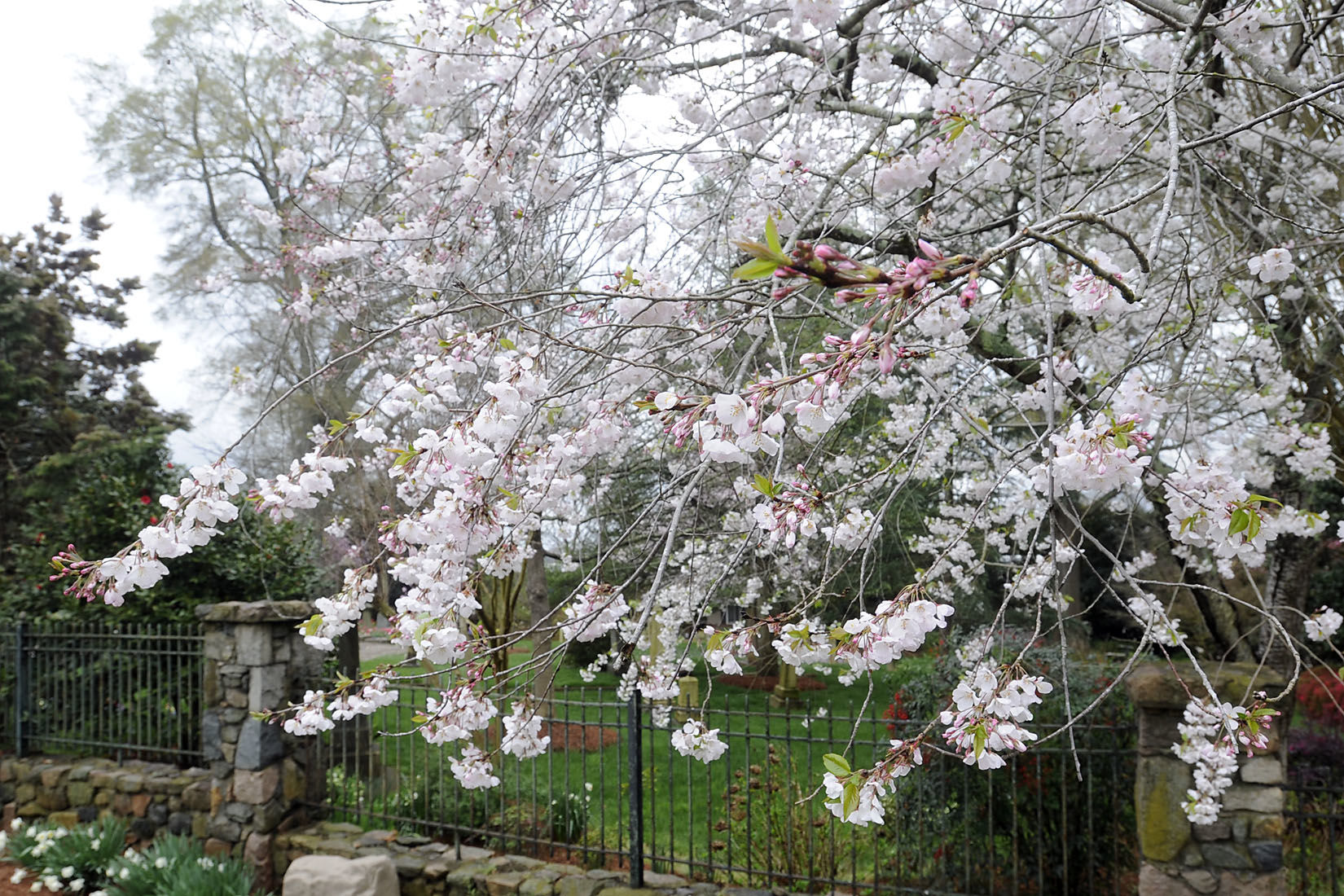 First Day of Spring